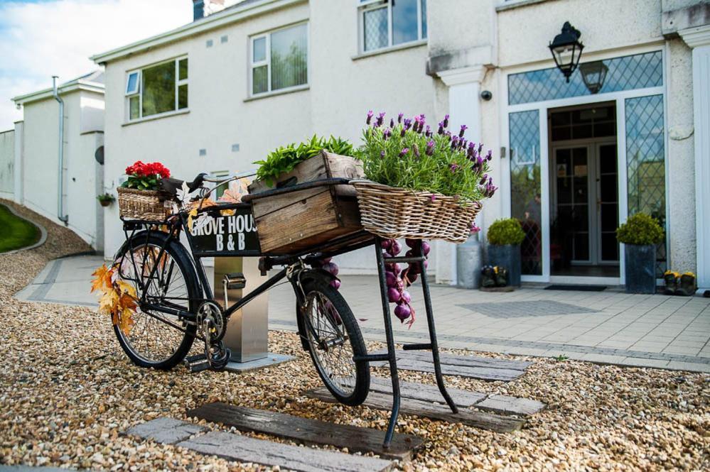 Grove House Bed & Breakfast Carlingford Exterior foto
